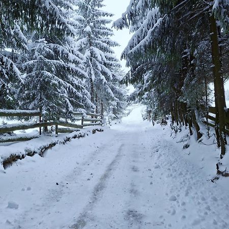 Mokki Villa Mărişel Eksteriør bilde